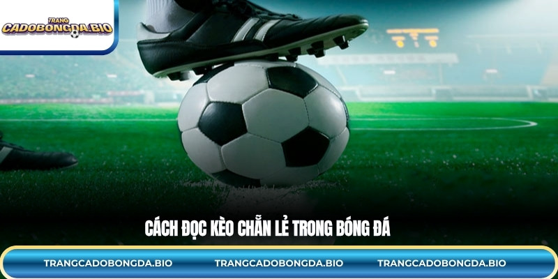 Cách đọc kèo chẵn lẻ trong bóng đá 