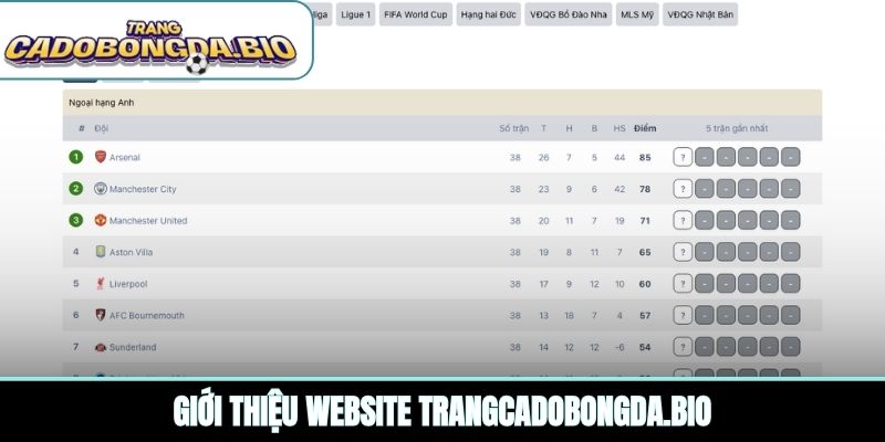 Giới thiệu website brumberg2010.com